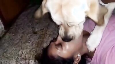 Zoo sex porn: porn zoo dog compilation hd free