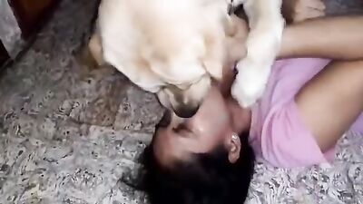 Zoo sex porn: porn zoo dog compilation hd free