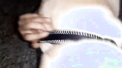 Zoo sex porn: porn zoo dog compilation hd free