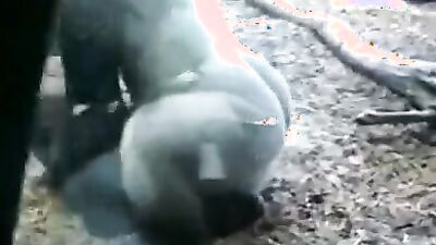 Zoo sex video: mia zoo porn