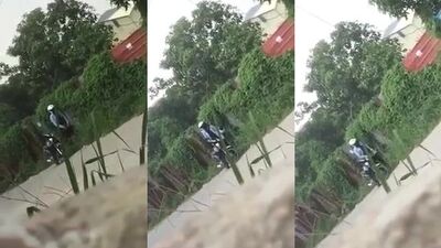Animal sex video: dog sex 18