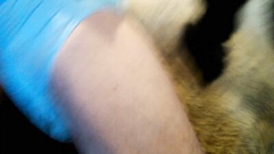Animal sex: bungou stray dogs sex