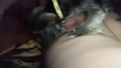 Dog girl play: animal breed woman porn comics