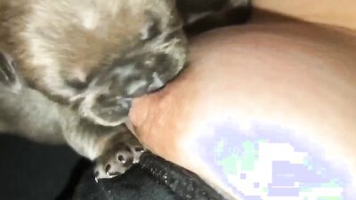 Teen zoo porn: dog sex training