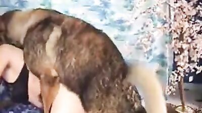 3d zoo porn: zoophilia videos dogs
