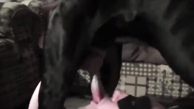Dog girl porn: sex big ass dog style