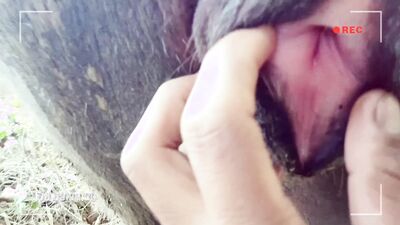 Fucking dogging porn: dog porn aviator party