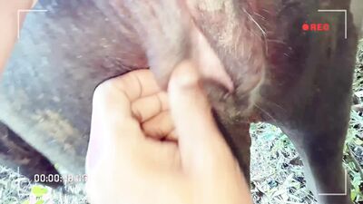 Fucking dogging porn: dog porn aviator party
