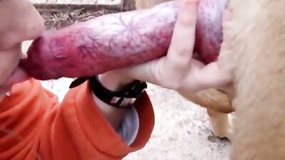 Russian zoo porn: zoophilia telegram
