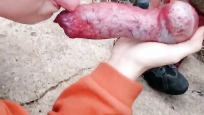 Russian zoo porn: zoophilia telegram