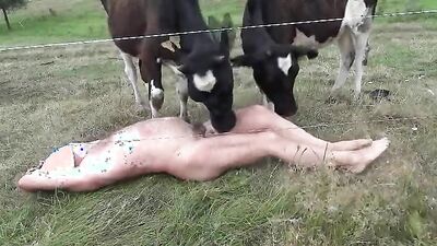 2 dog girl: art of zoo dog fuck