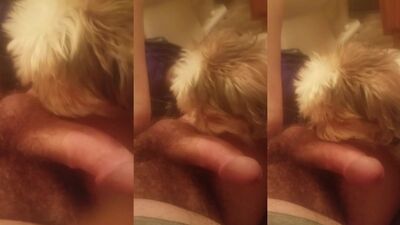 Zoo porn: bestiality sluts