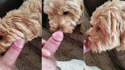 Zoo sex porn: https bestiality sex site