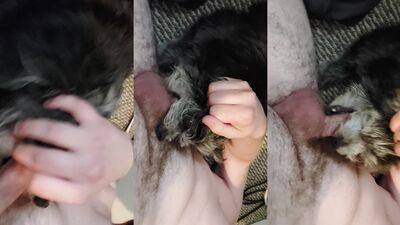 Dog sex video: teen home zoophilia