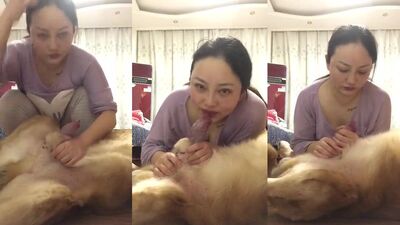 Zoophilia porno: sex dogs boys