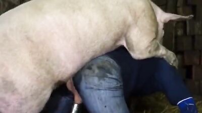 Dog licking girl: sonya dog porn