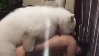 Sex animal's: porno sex hd new 2026 zoo animals