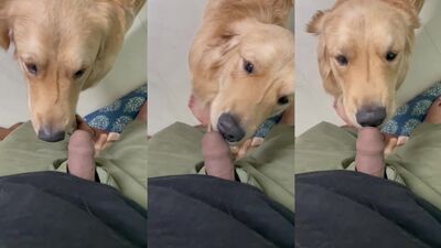 3d zoo porn: girls suck dog cock