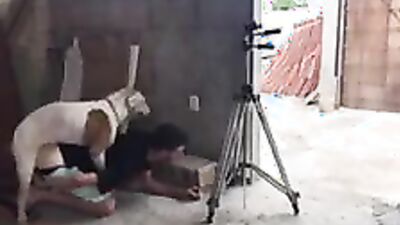2 dog girl: zoo porn creampies