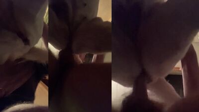 Porn bestiality: 3d dogs sex hentai