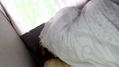 Girl cat dog: zoophilia granny