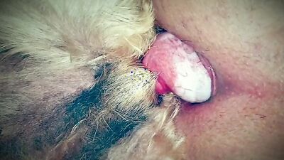 Mimi dog porn: old dog porn