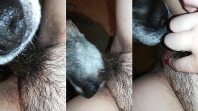 Zoophilia porno: milf bestiality
