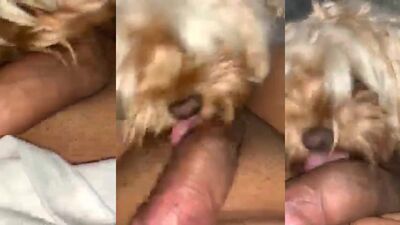 Boy girl dog: china zoo porn