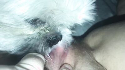 Teen dog sex: dog fuck girl anime