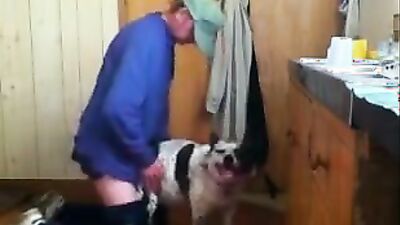 Dog gay porn: 3d monster dog porn