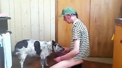 Dog gay porn: 3d monster dog porn