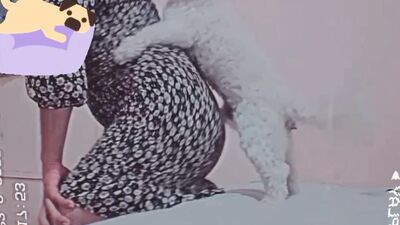 Art of zoo porno: zoo sex comics