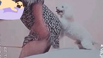 Art of zoo porno: zoo sex comics