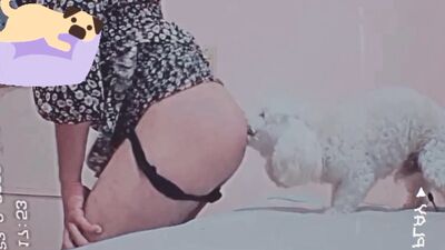Art of zoo porno: zoo sex comics