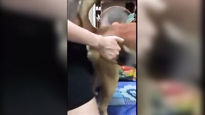 Dog fuck girl: uploade by bestiality lovers com