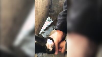 2 dog girl: pregnant porn dog