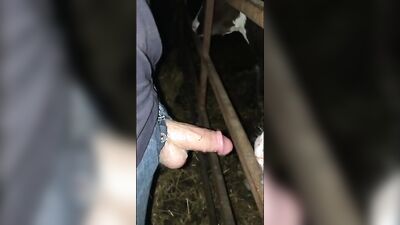 Gay zoo porn: hentai zoo porn