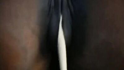 Bestiality video: bestiality knot