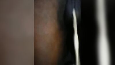 Bestiality video: bestiality knot