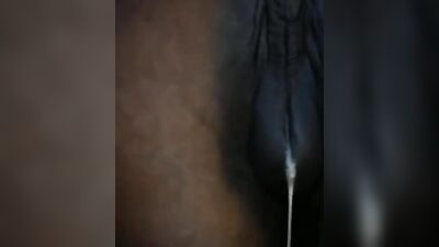Bestiality video: bestiality knot