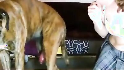 1 girl 5 dog: bestiality porn site