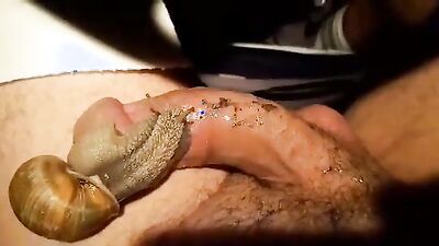 Art of zoo porn: zoo sex porno jostkiy