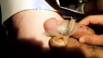 Art of zoo porn: zoo sex porno jostkiy