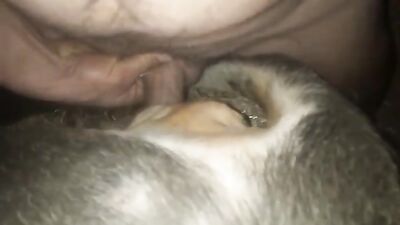 Bestiality hentai manga: chienne mary zoo porn