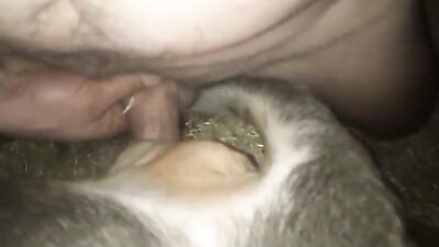 Bestiality hentai manga: chienne mary zoo porn