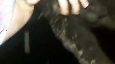 Bestiality video: zoo porn yonger beach fucked dog