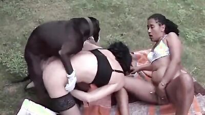 Dog gay porn: crazy dog porn