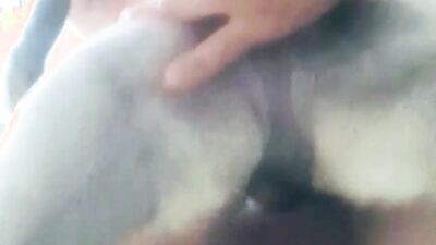 Girl having dog: exclusive animal porn