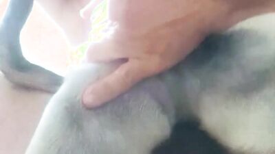 Girl having dog: exclusive animal porn