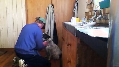 Bestiality: girl having sex with a dog